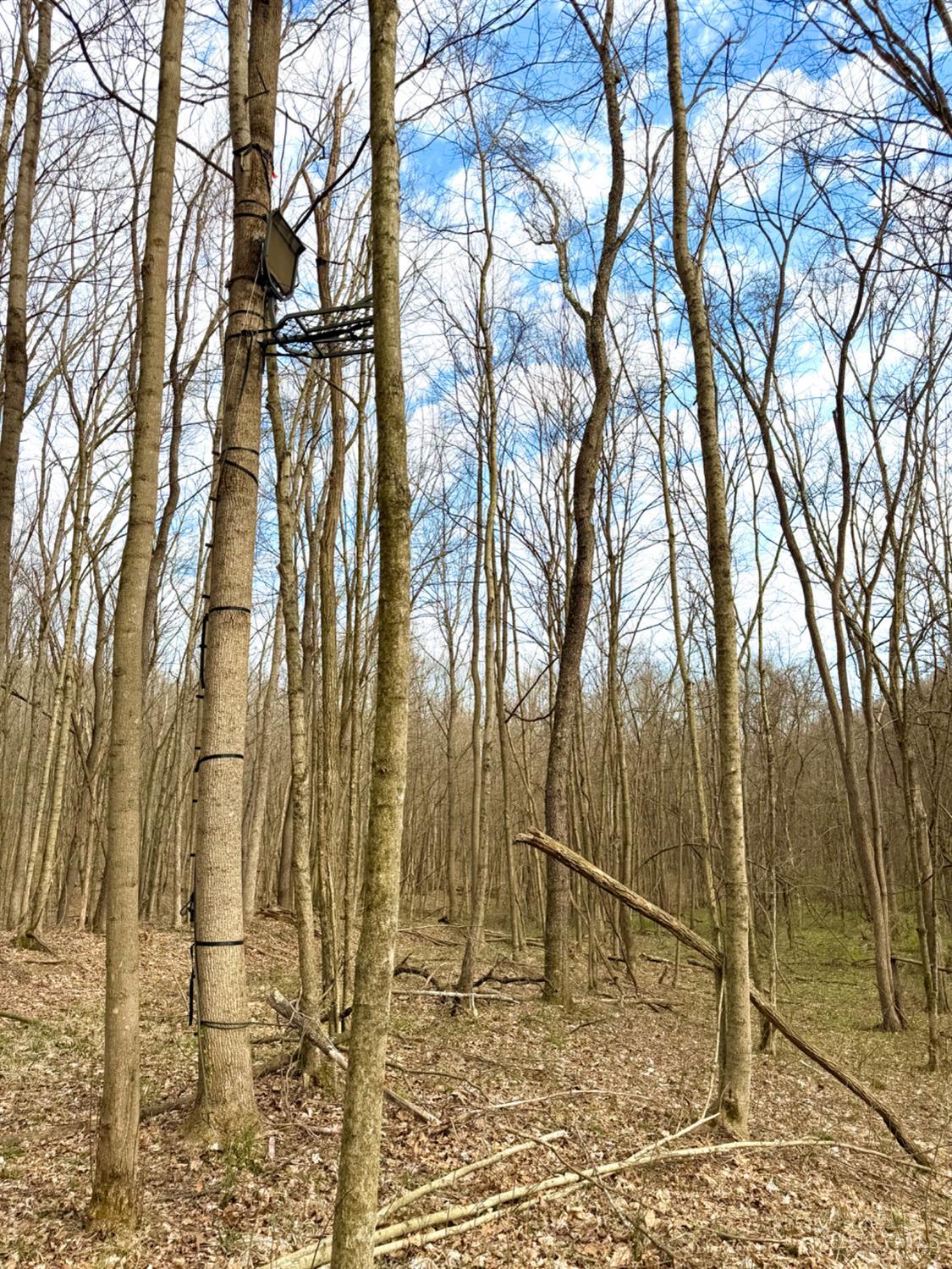 Fyffe Hollow Road, Franklin Twp, OH, 45601 — photo 17