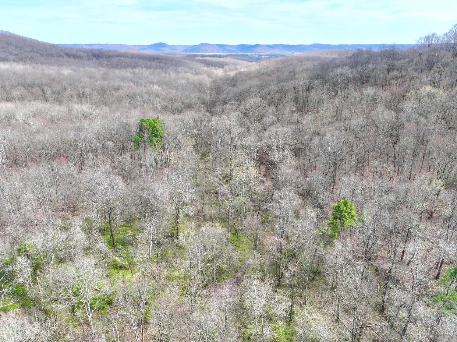 Fyffe Hollow Road, Franklin Twp, OH, 45601 — photo 30