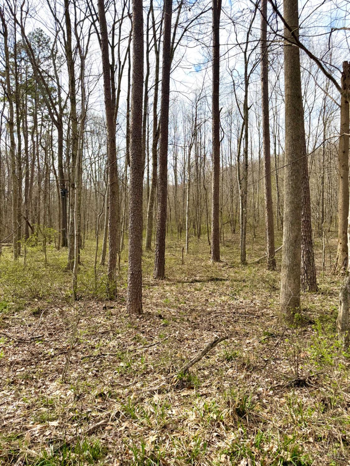 Fyffe Hollow Road, Franklin Twp, OH, 45601 — photo 63