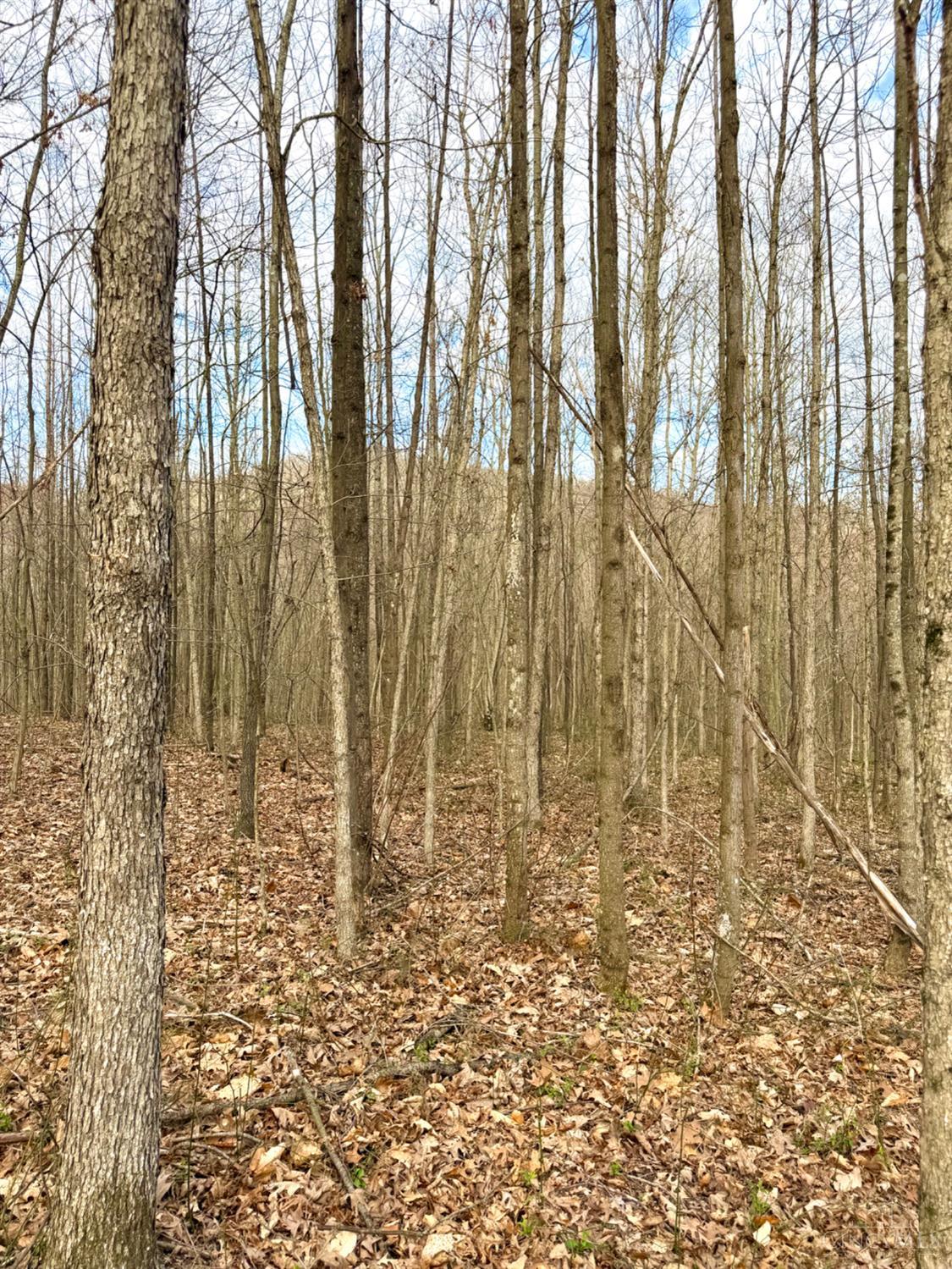 Fyffe Hollow Road, Franklin Twp, OH, 45601 — photo 86