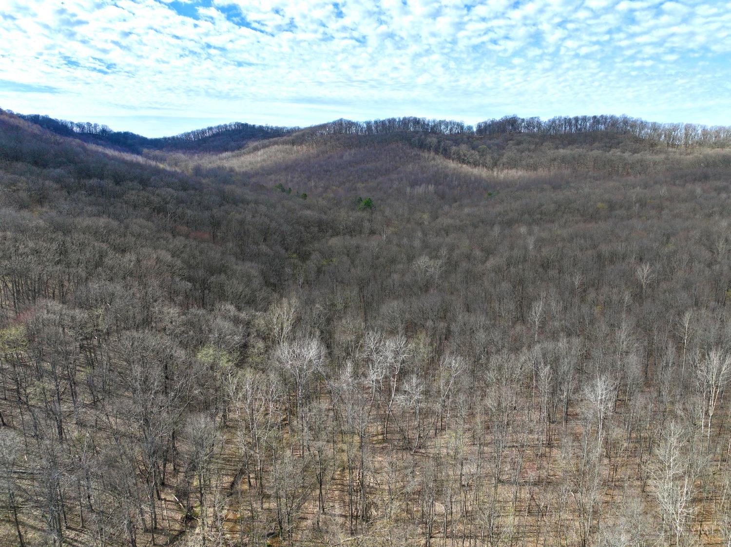 Fyffe Hollow Road, Franklin Twp, OH, 45601 — photo 34