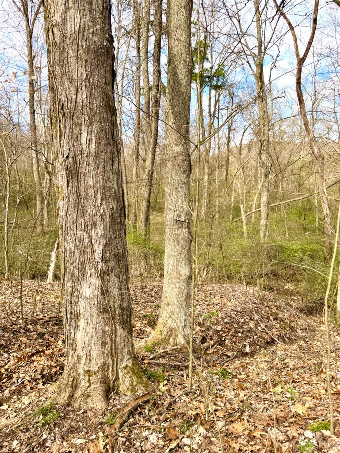 Fyffe Hollow Road, Franklin Twp, OH, 45601 — photo 74