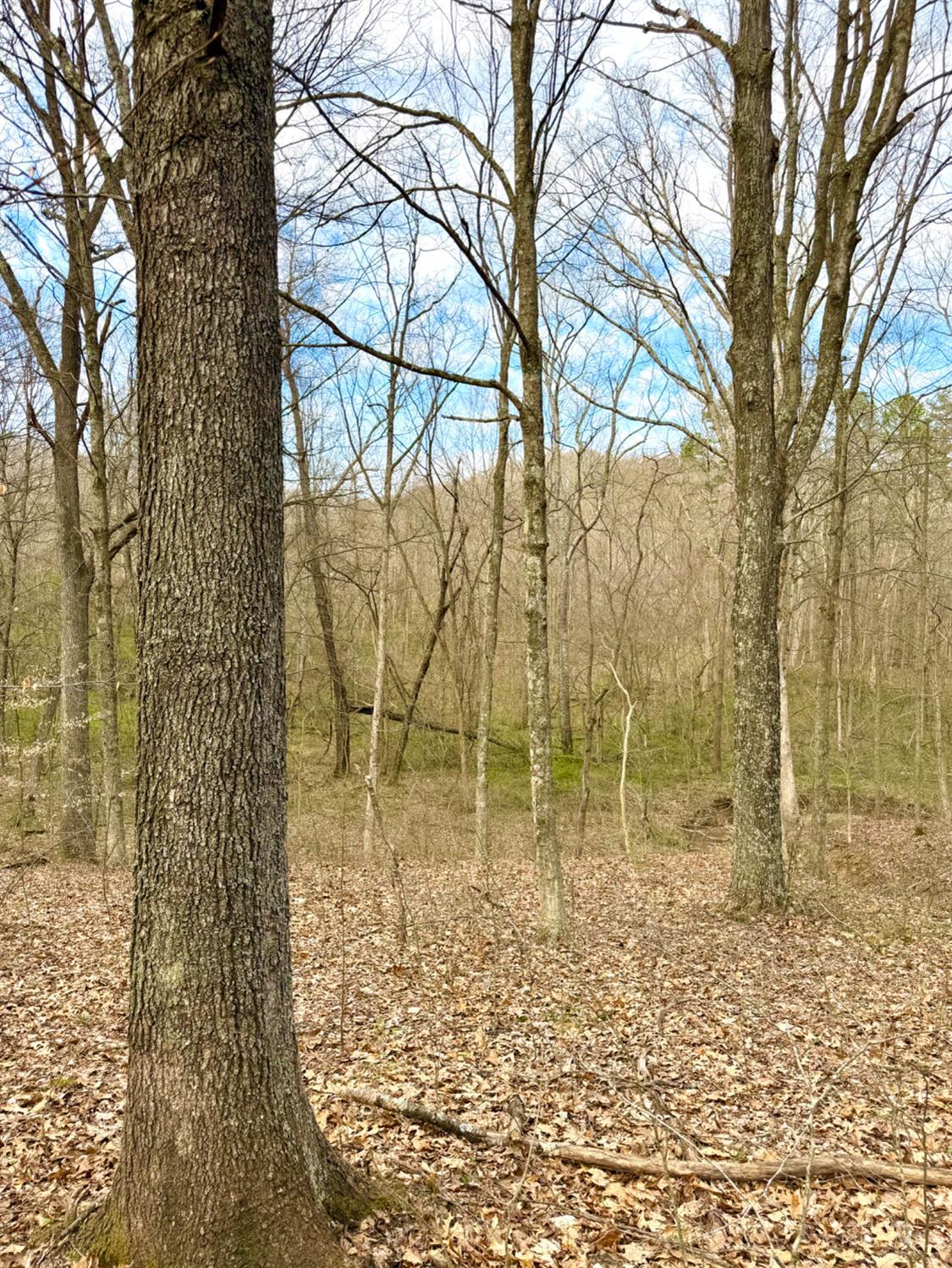 Fyffe Hollow Road, Franklin Twp, OH, 45601 — photo 79