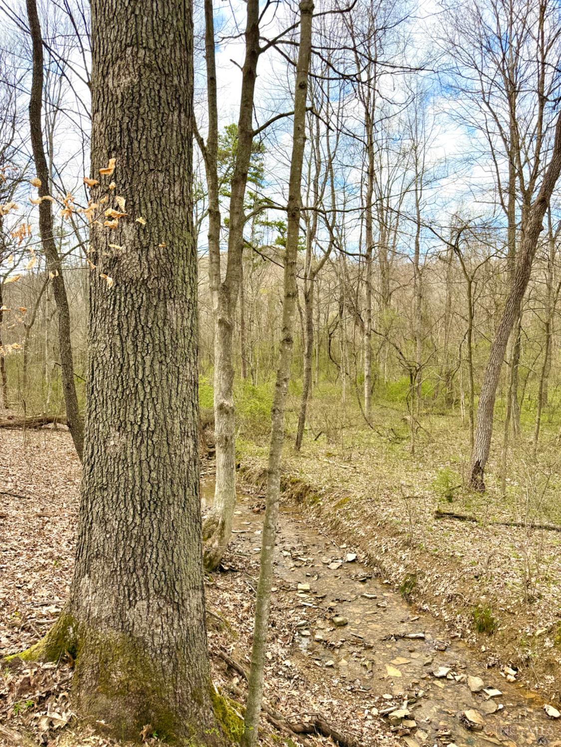 Fyffe Hollow Road, Franklin Twp, OH, 45601 — photo 80