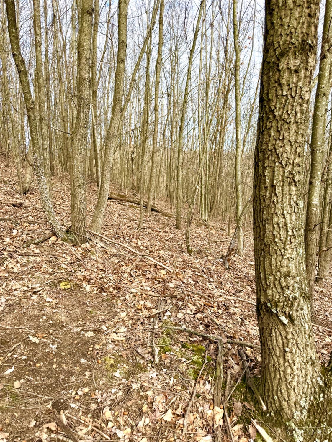 Fyffe Hollow Road, Franklin Twp, OH, 45601 — photo 47