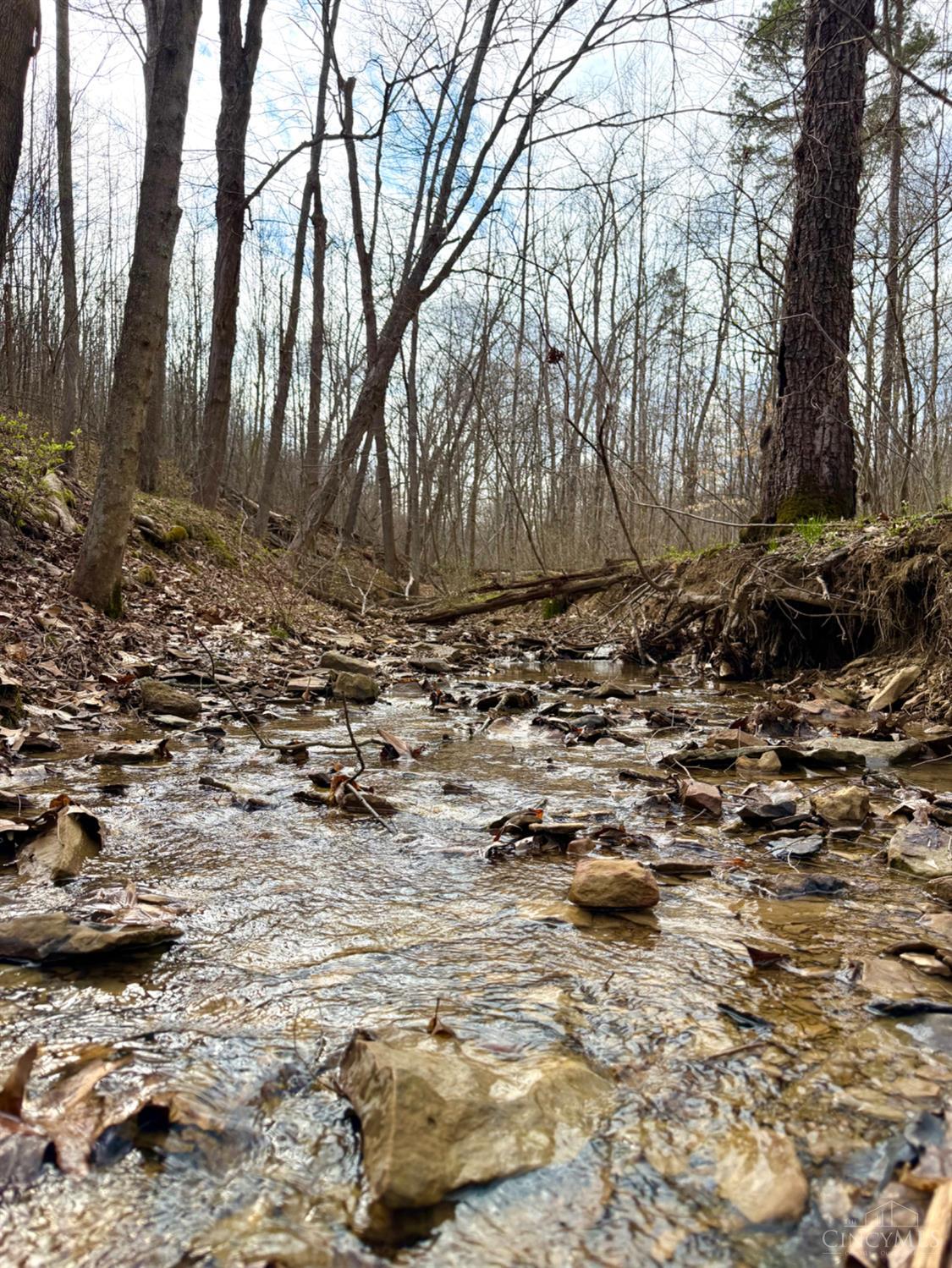 Fyffe Hollow Road, Franklin Twp, OH, 45601 — photo 68