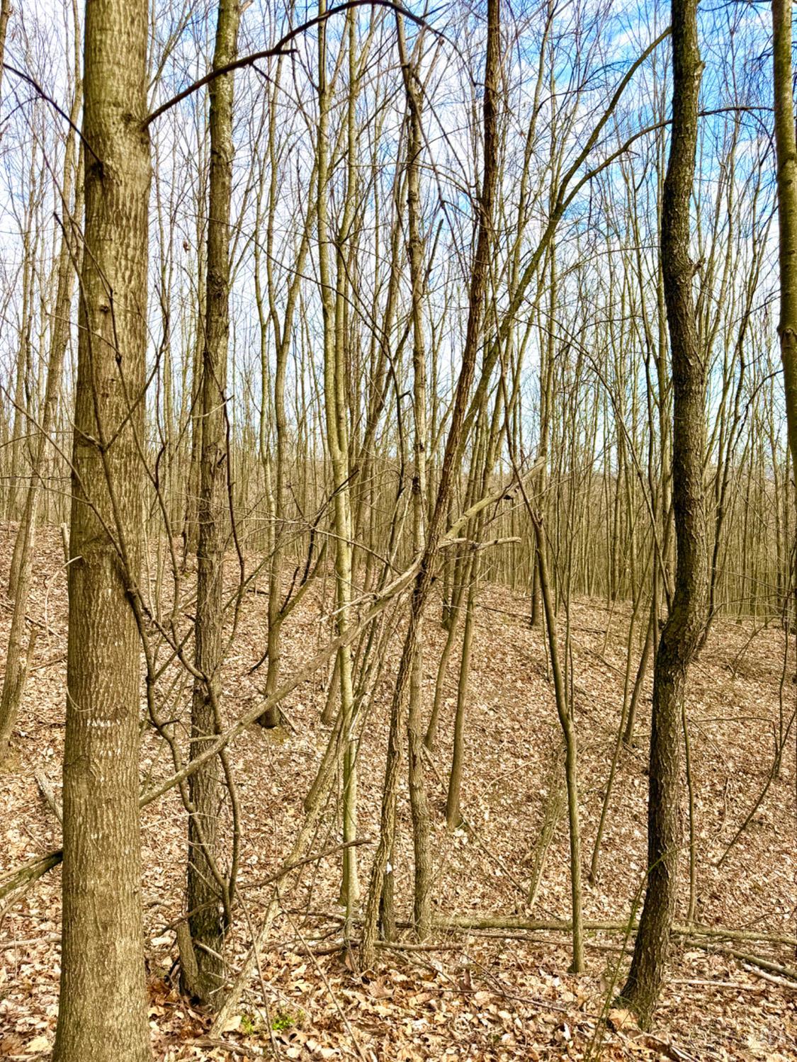 Fyffe Hollow Road, Franklin Twp, OH, 45601 — photo 50