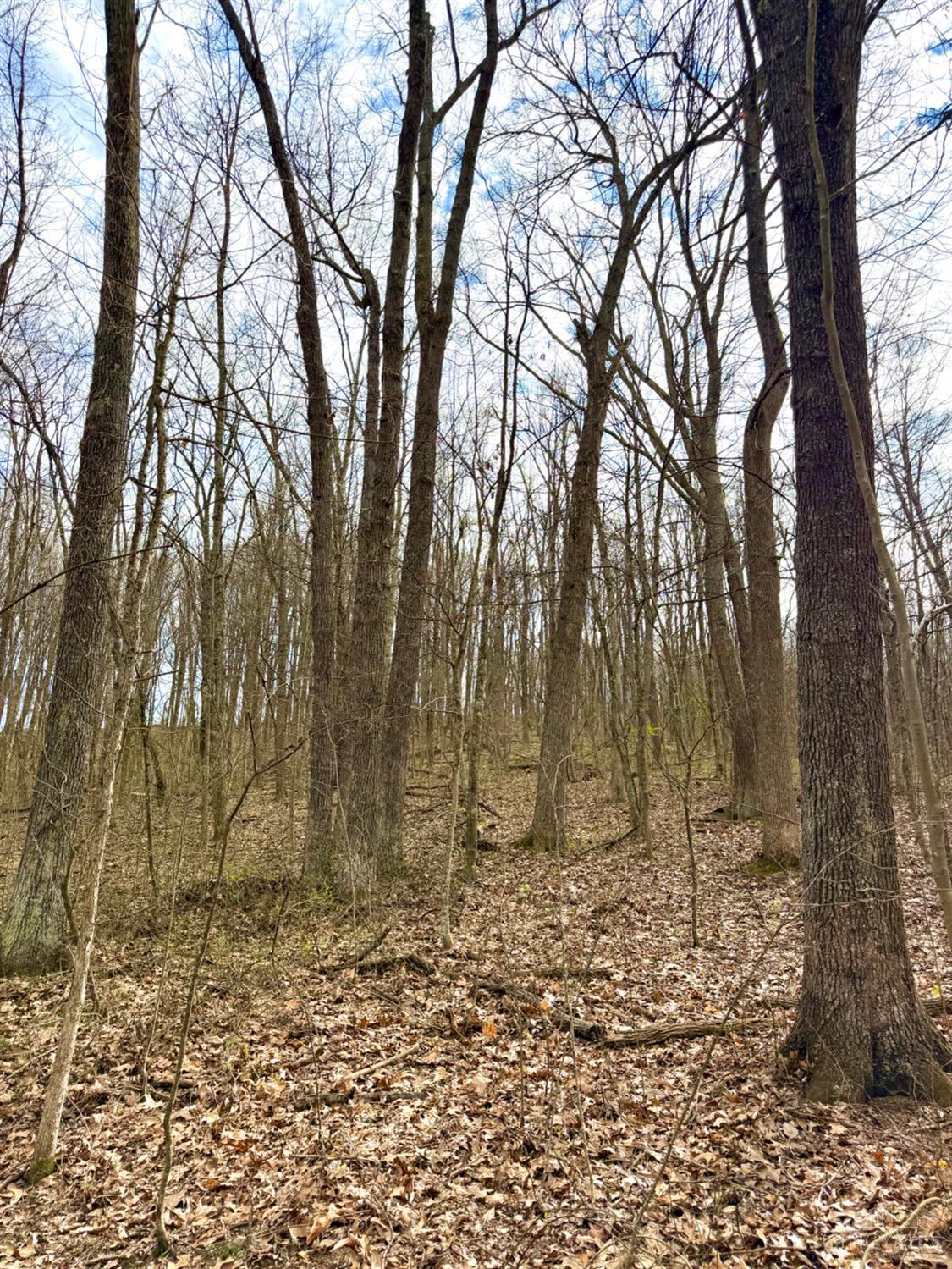 Fyffe Hollow Road, Franklin Twp, OH, 45601 — photo 76