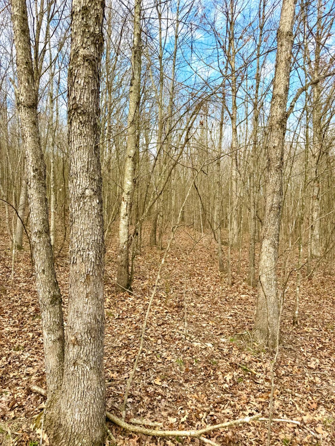 Fyffe Hollow Road, Franklin Twp, OH, 45601 — photo 54