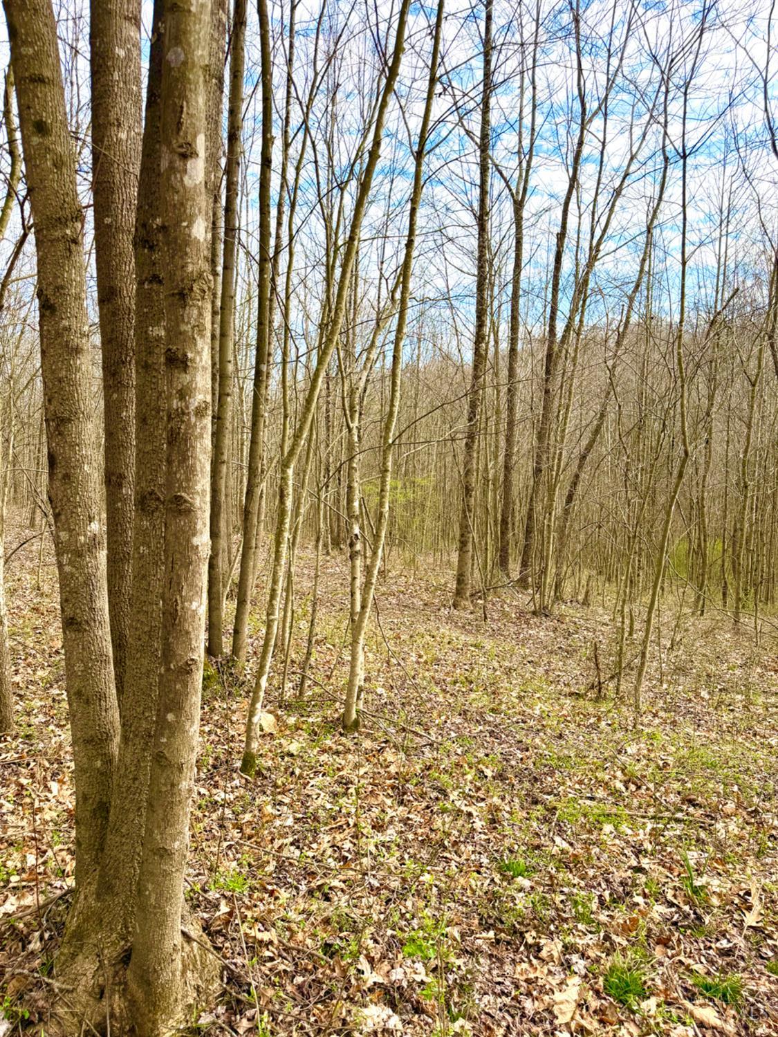 Fyffe Hollow Road, Franklin Twp, OH, 45601 — photo 58