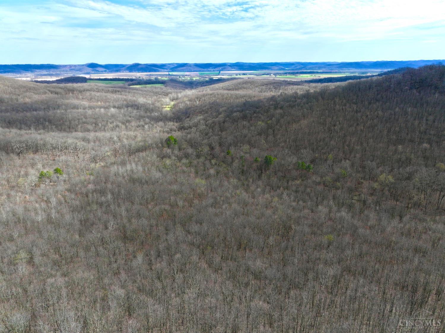 Fyffe Hollow Road, Franklin Twp, OH, 45601 — photo 28