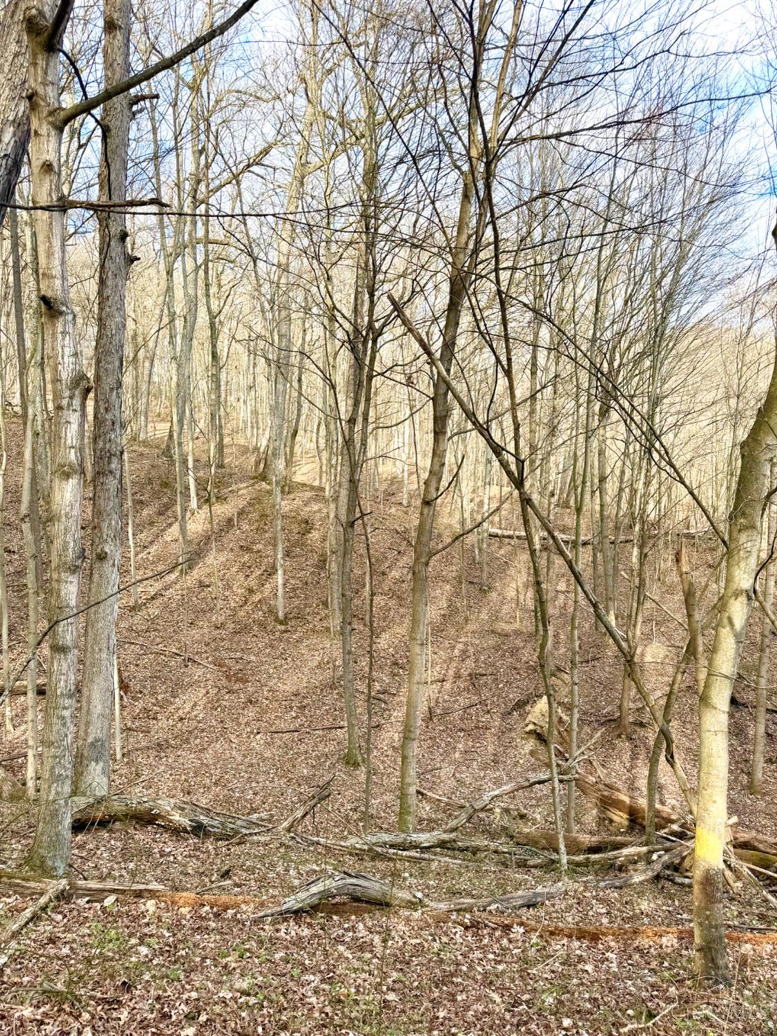 Fyffe Hollow Road, Franklin Twp, OH, 45601 — photo 94