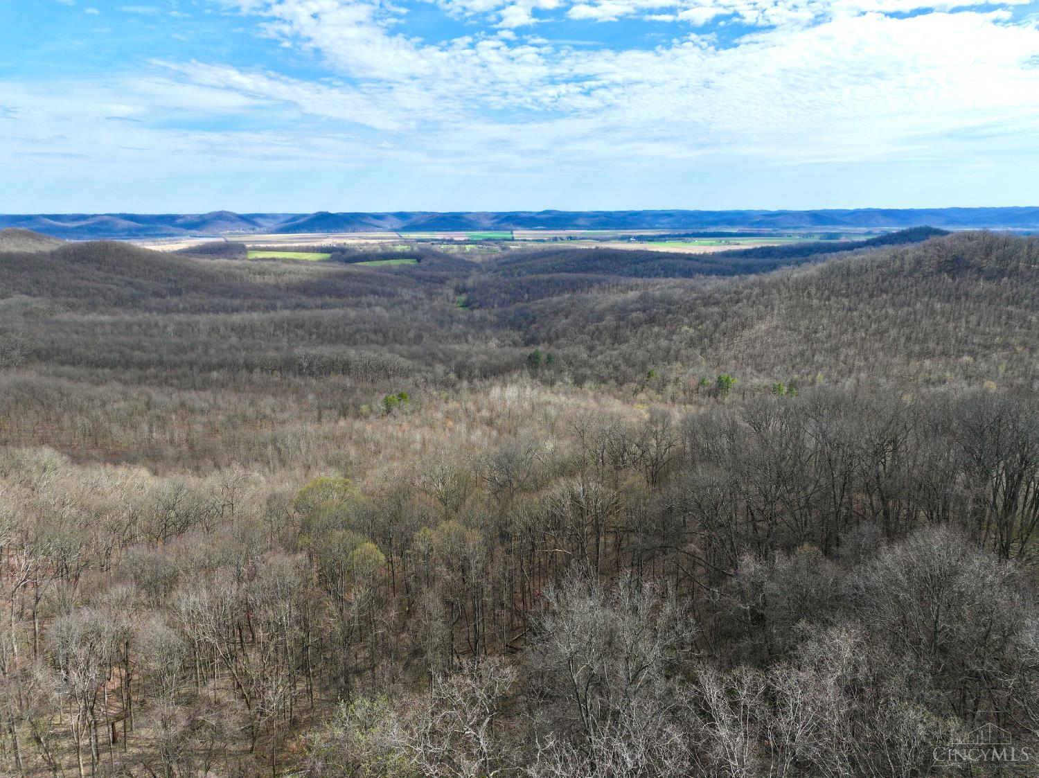Fyffe Hollow Road, Franklin Twp, OH, 45601 — photo 3