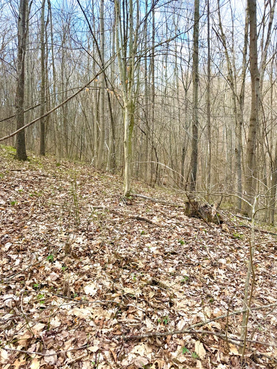 Fyffe Hollow Road, Franklin Twp, OH, 45601 — photo 25