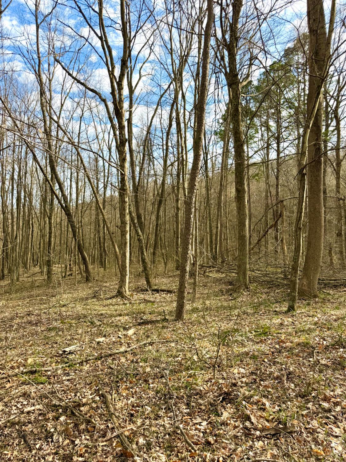 Fyffe Hollow Road, Franklin Twp, OH, 45601 — photo 83