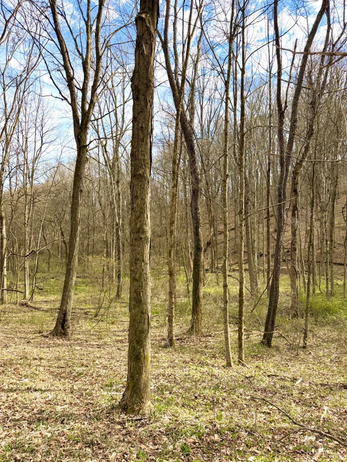 Fyffe Hollow Road, Franklin Twp, OH, 45601 — photo 18