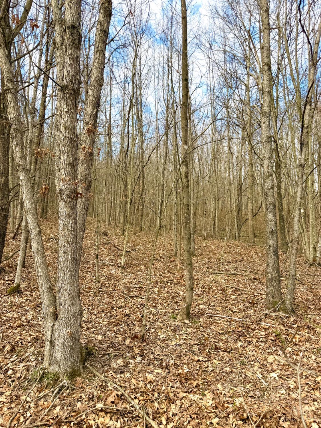Fyffe Hollow Road, Franklin Twp, OH, 45601 — photo 56
