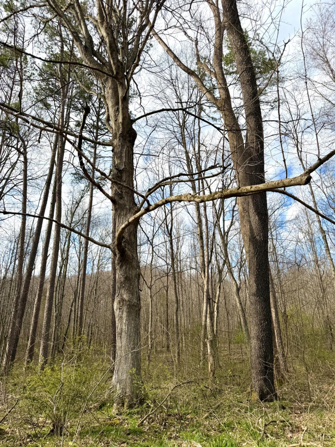 Fyffe Hollow Road, Franklin Twp, OH, 45601 — photo 70