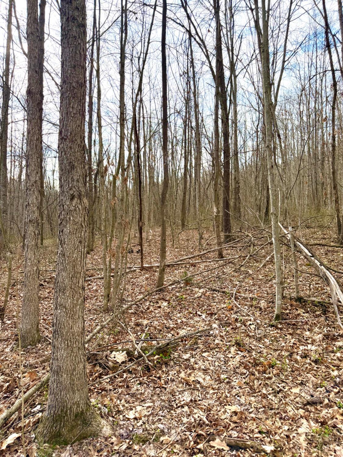 Fyffe Hollow Road, Franklin Twp, OH, 45601 — photo 85