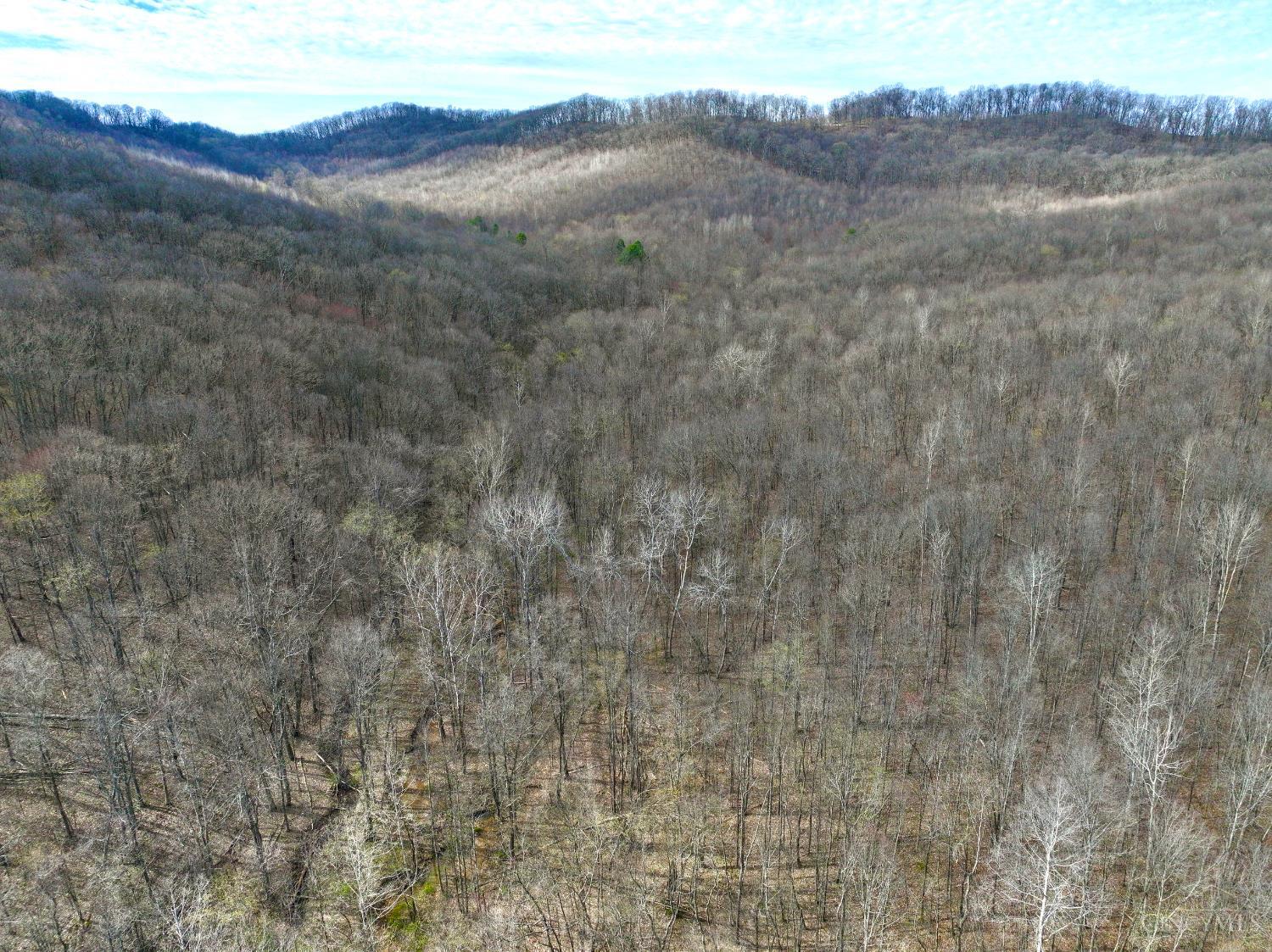Fyffe Hollow Road, Franklin Twp, OH, 45601 — photo 35