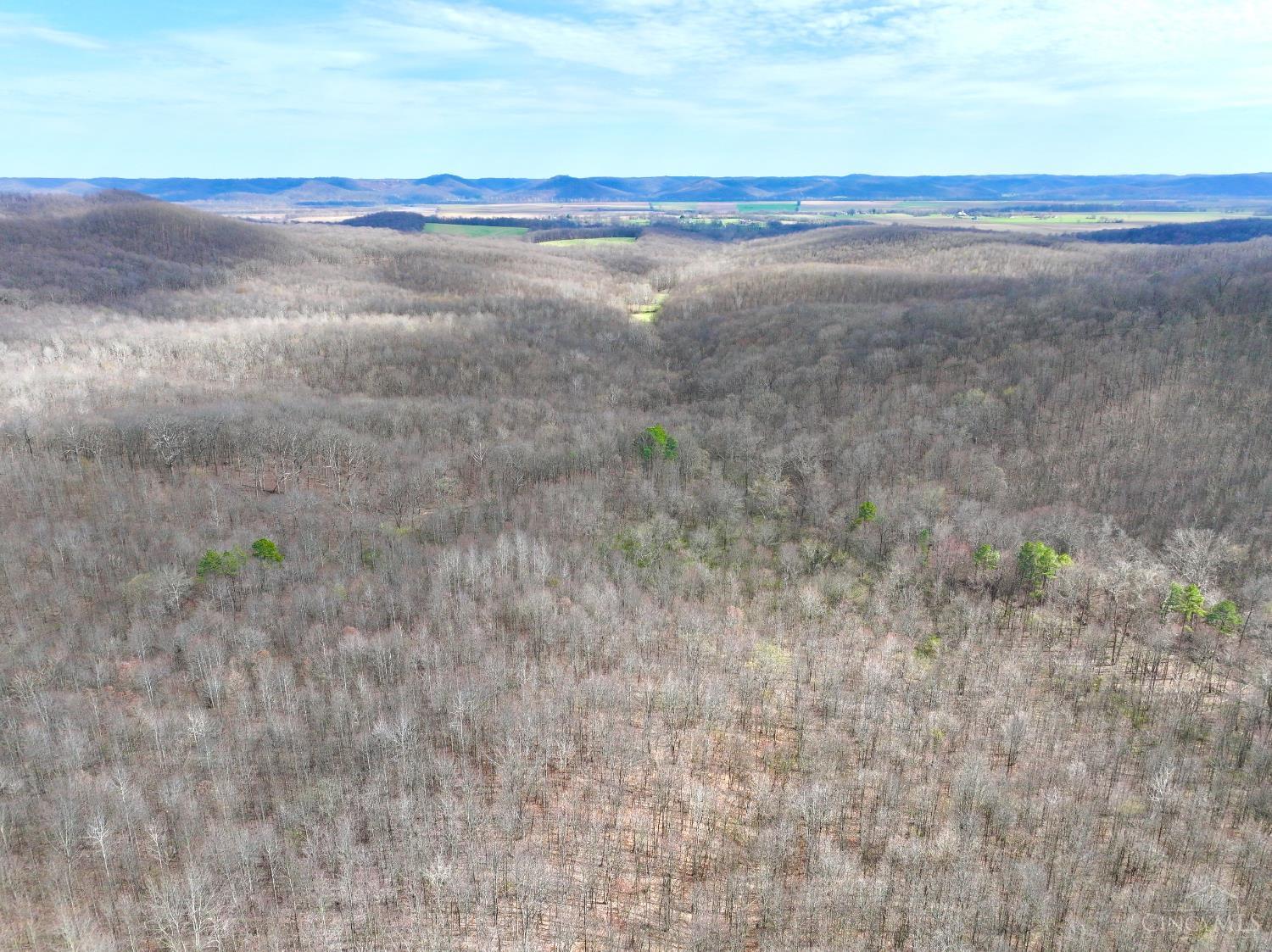 Fyffe Hollow Road, Franklin Twp, OH, 45601 — photo 29