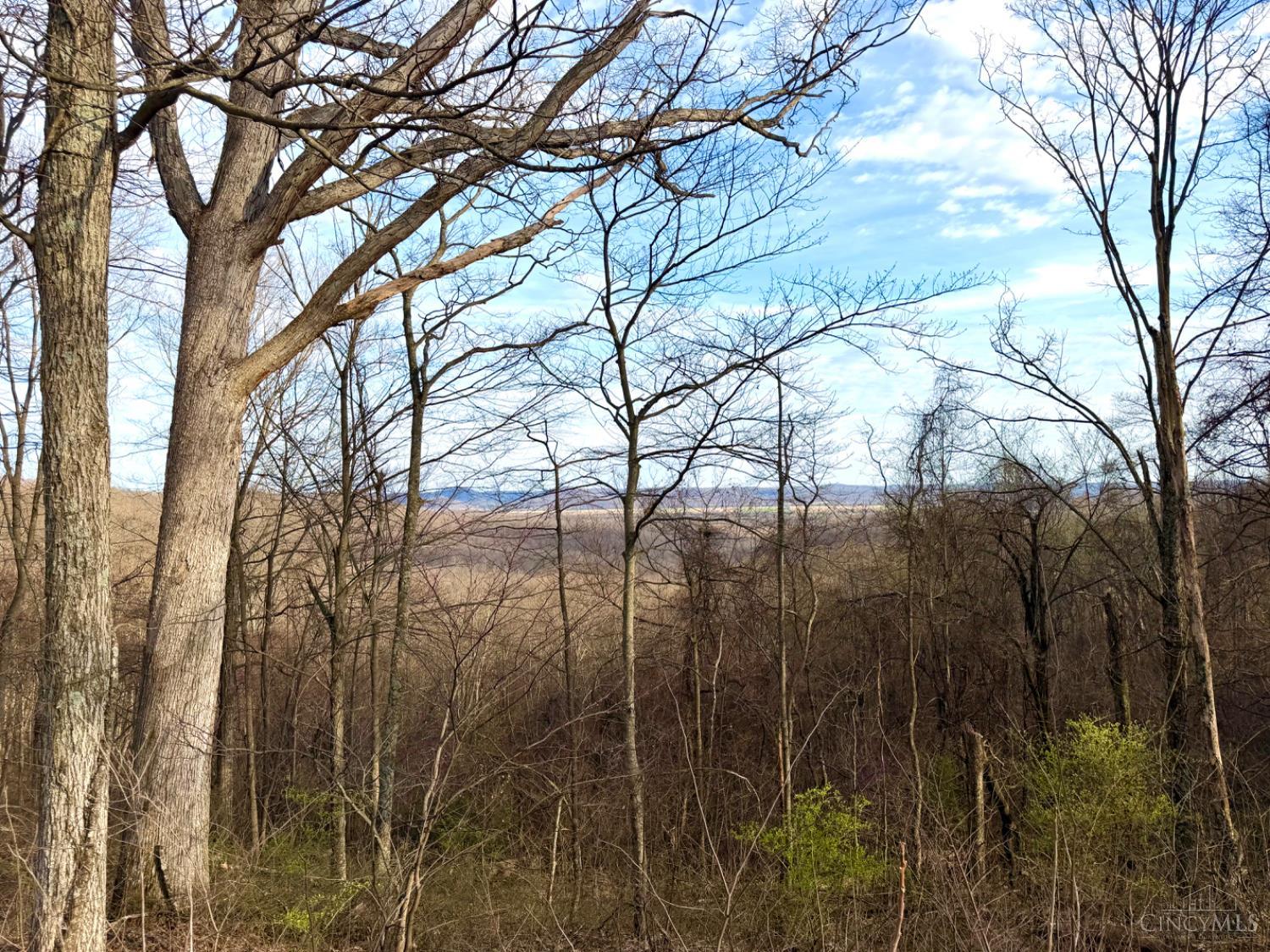 Fyffe Hollow Road, Franklin Twp, OH, 45601 — photo 95