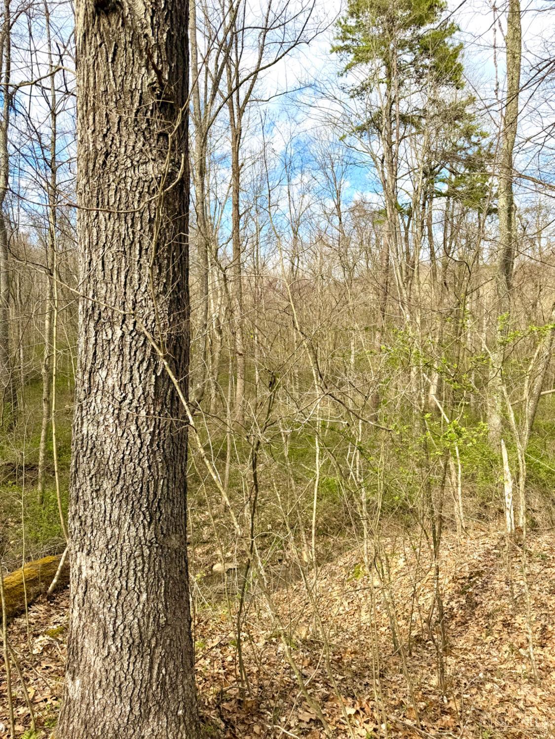 Fyffe Hollow Road, Franklin Twp, OH, 45601 — photo 73