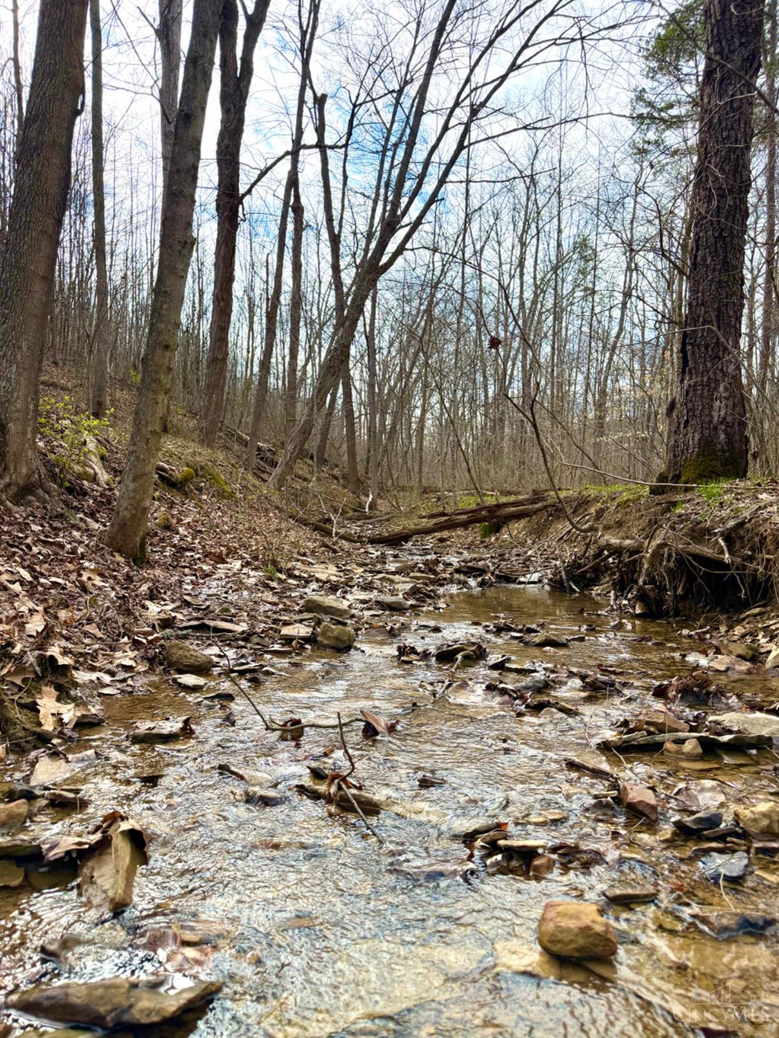 Fyffe Hollow Road, Franklin Twp, OH, 45601 — photo 67