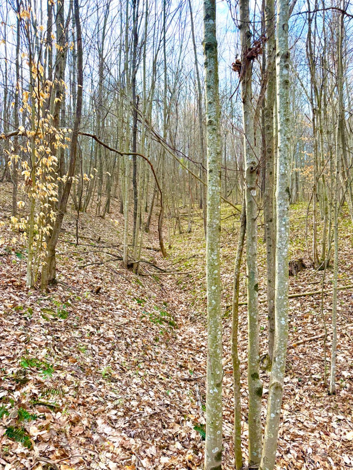 Fyffe Hollow Road, Franklin Twp, OH, 45601 — photo 92