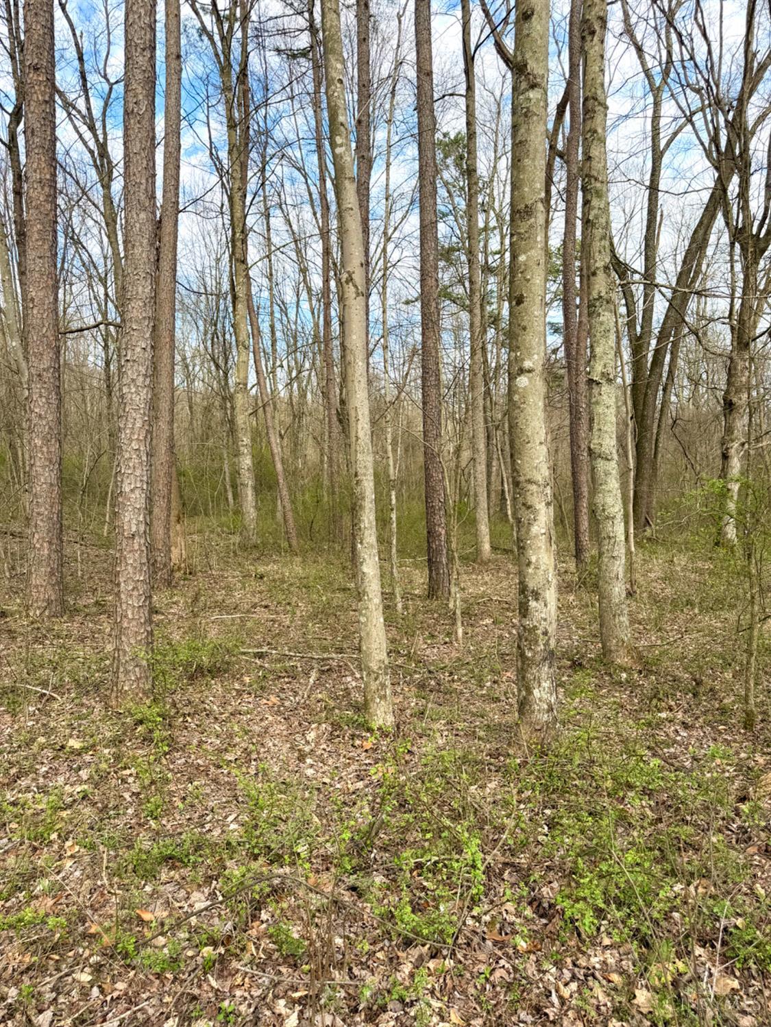 Fyffe Hollow Road, Franklin Twp, OH, 45601 — photo 65