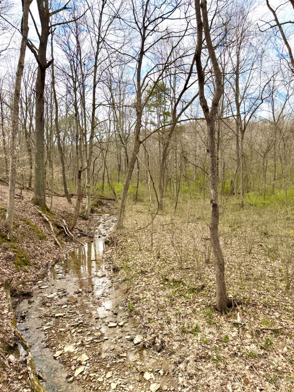 Fyffe Hollow Road, Franklin Twp, OH, 45601 — photo 81