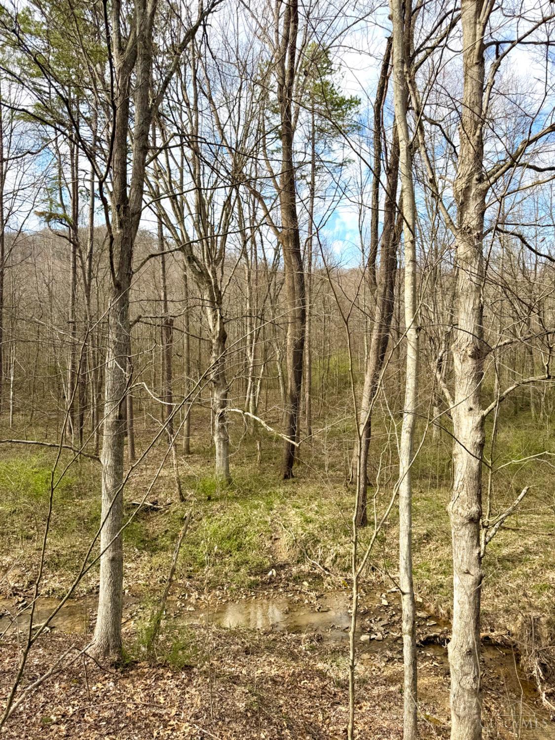 Fyffe Hollow Road, Franklin Twp, OH, 45601 — photo 71