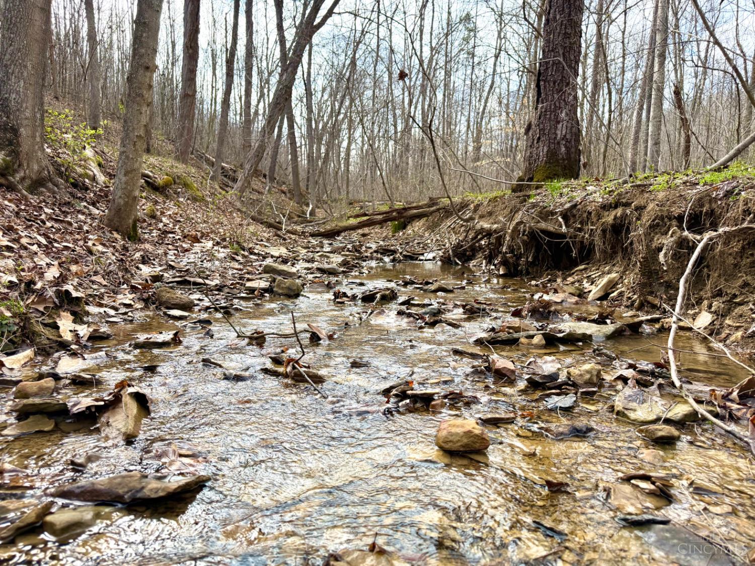 Fyffe Hollow Road, Franklin Twp, OH, 45601 — photo 2