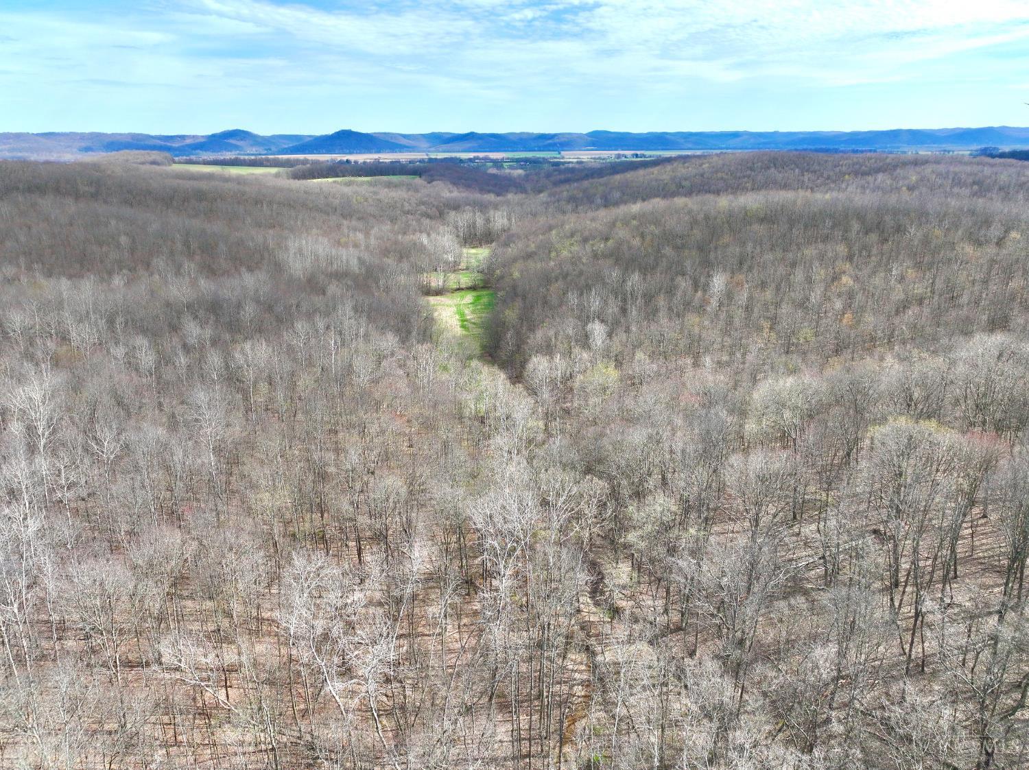 Fyffe Hollow Road, Franklin Twp, OH, 45601 — photo 32