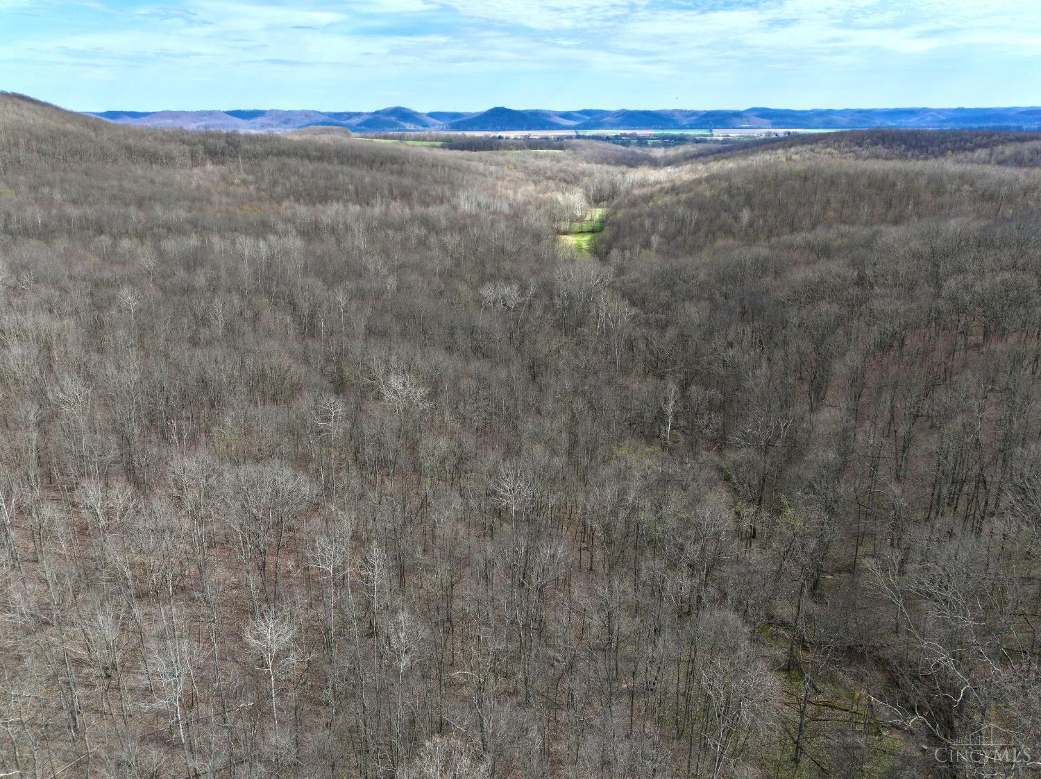 Fyffe Hollow Road, Franklin Twp, OH, 45601 — photo 31