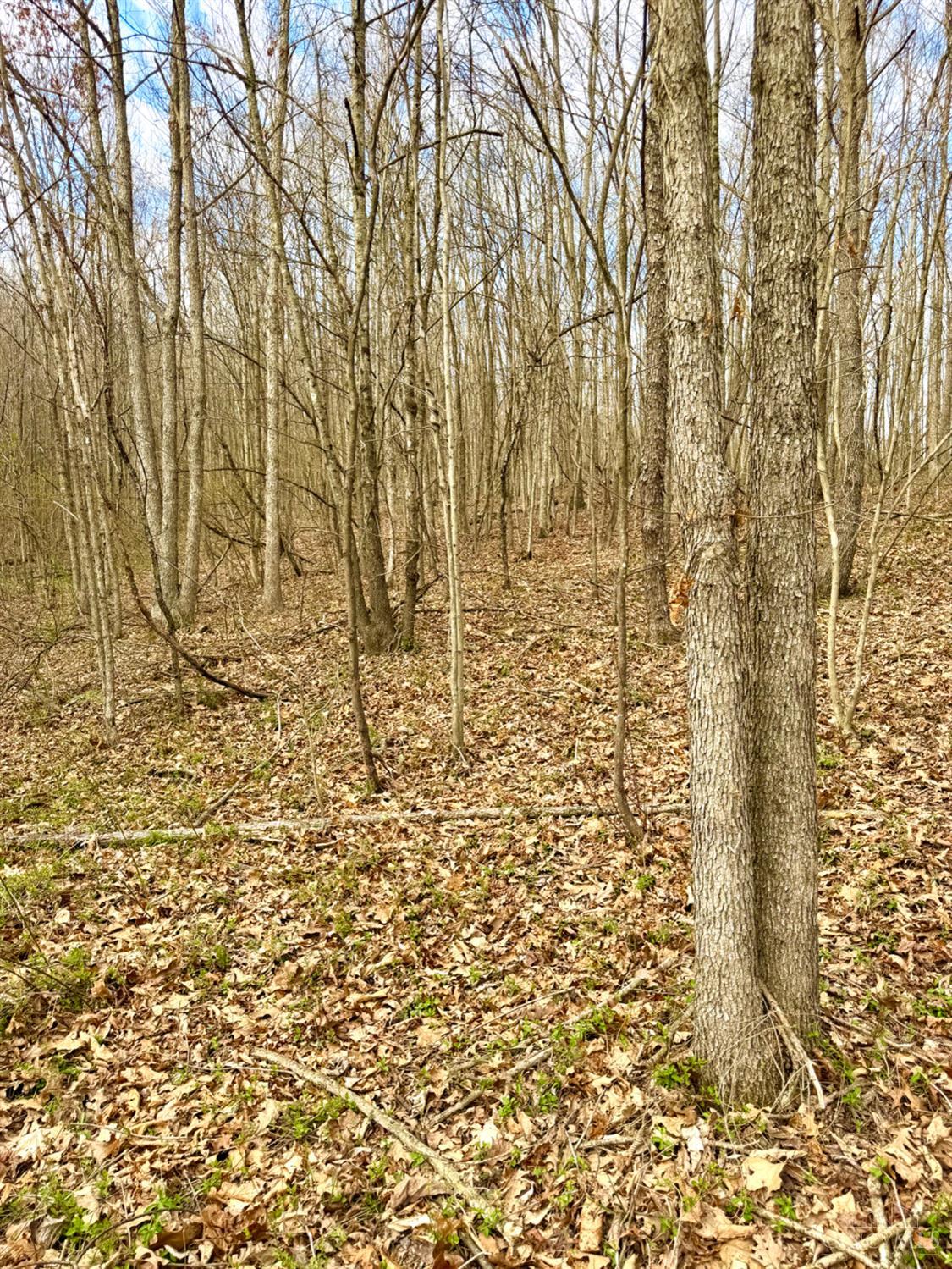 Fyffe Hollow Road, Franklin Twp, OH, 45601 — photo 57