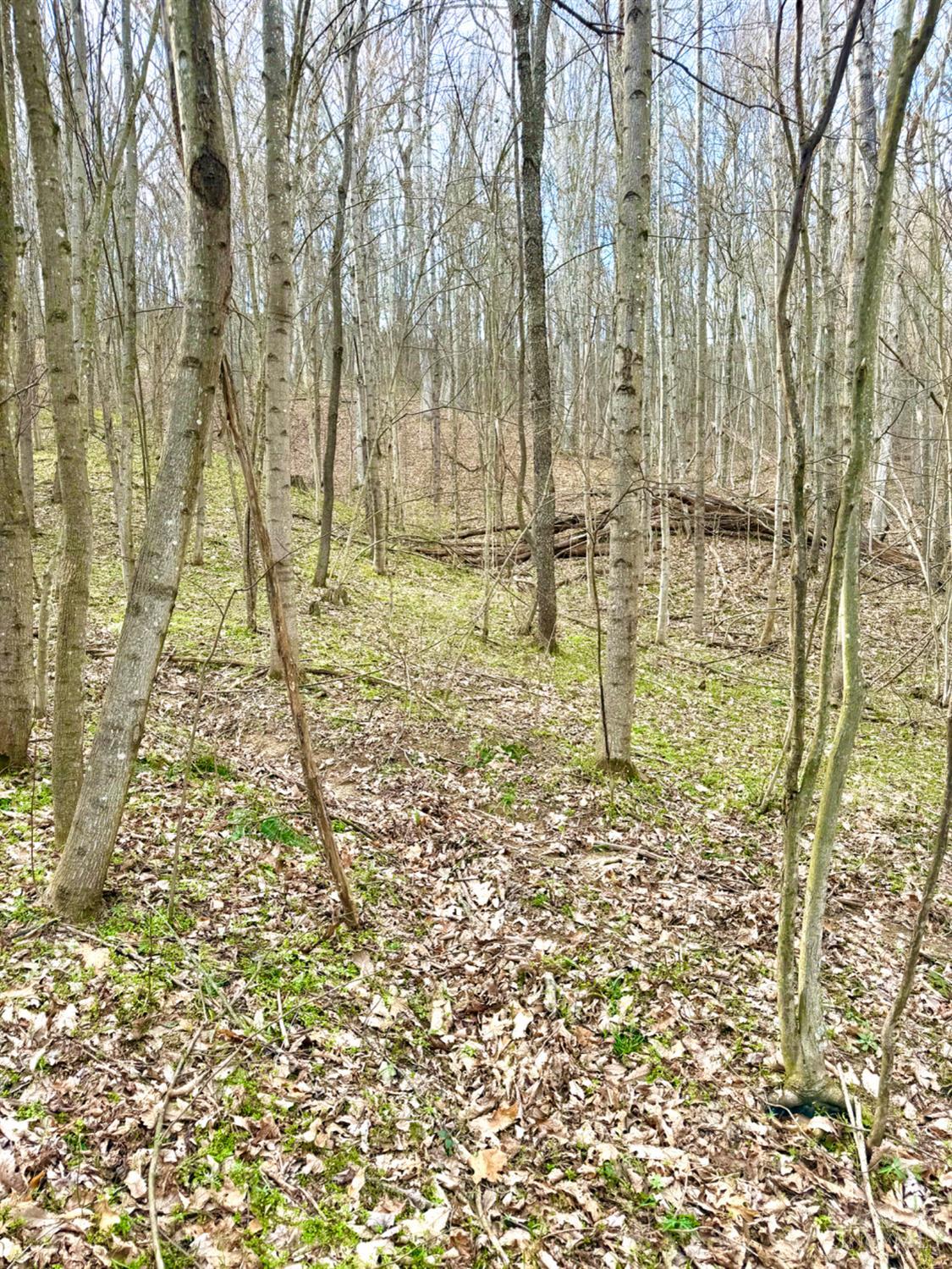 Fyffe Hollow Road, Franklin Twp, OH, 45601 — photo 26