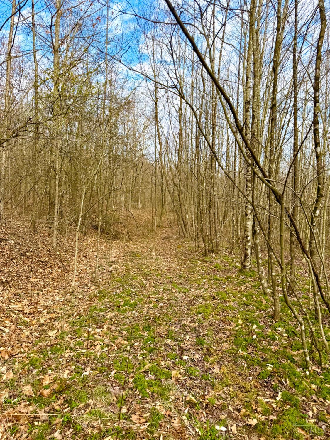 Fyffe Hollow Road, Franklin Twp, OH, 45601 — photo 51