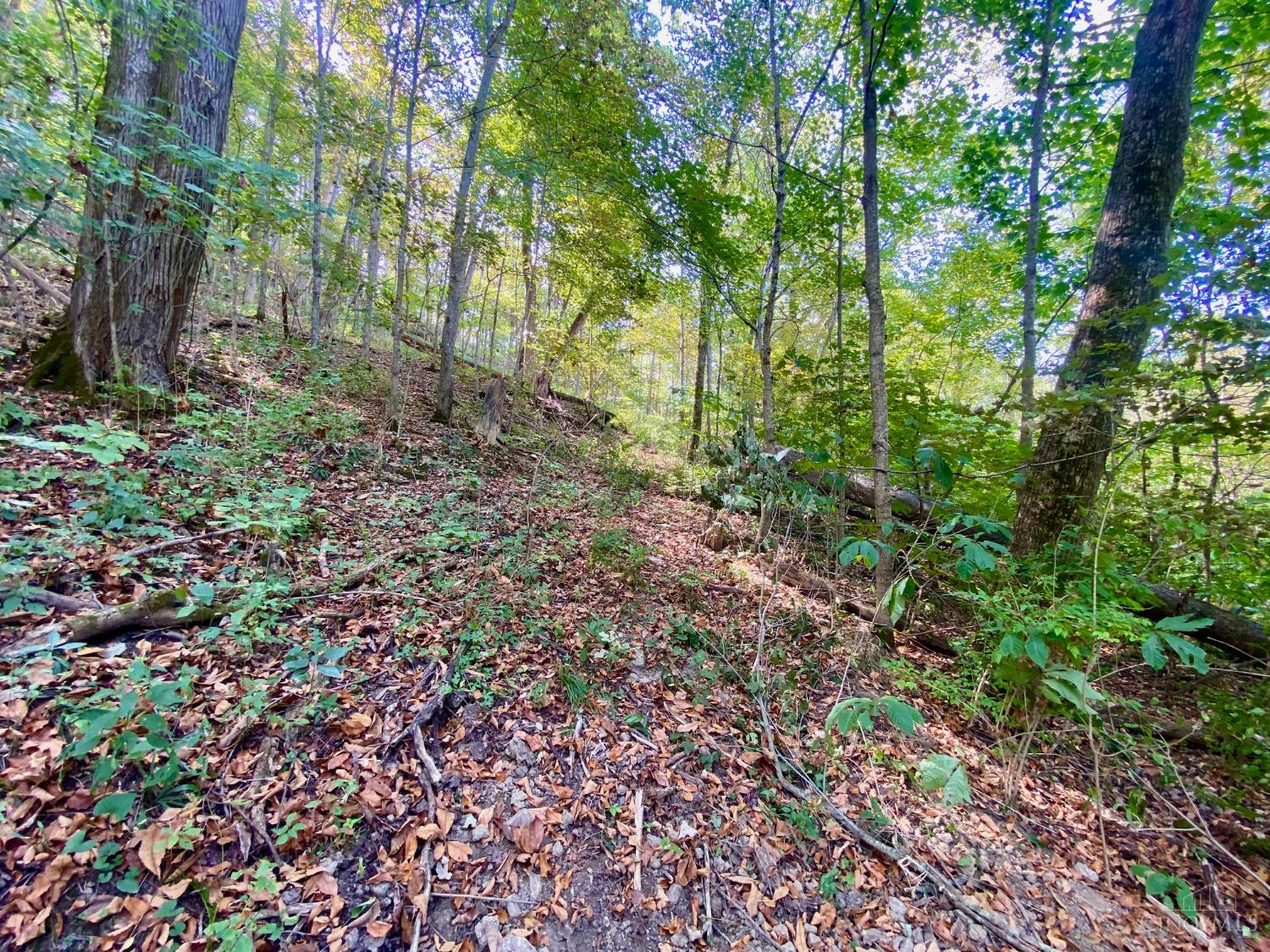 ac Eagle Creek Road, Huntington Twp, OH, 45167 — photo 5
