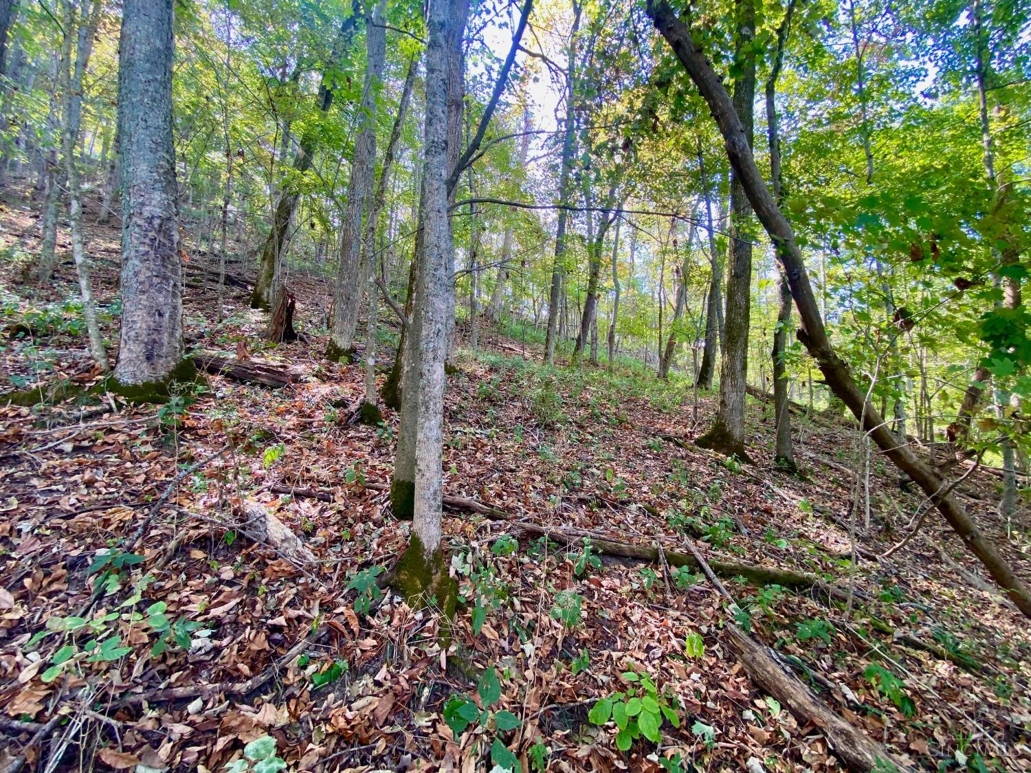 ac Eagle Creek Road, Huntington Twp, OH, 45167 — photo 8