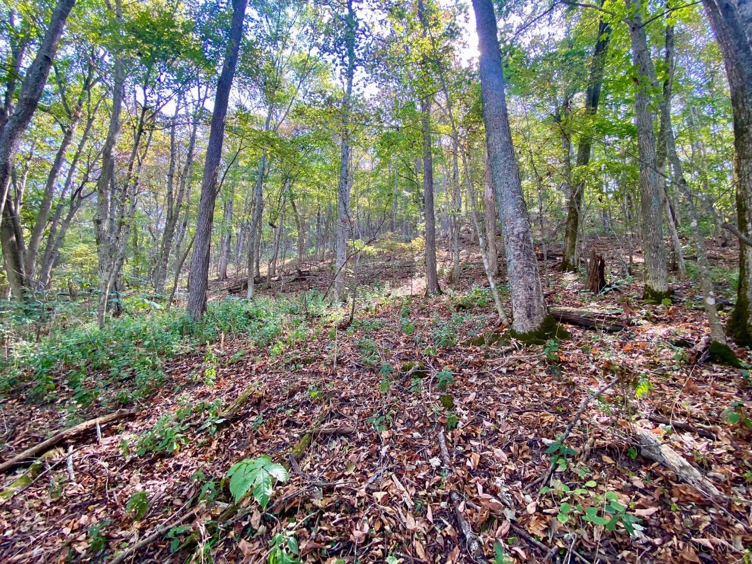 ac Eagle Creek Road, Huntington Twp, OH, 45167 — photo 7