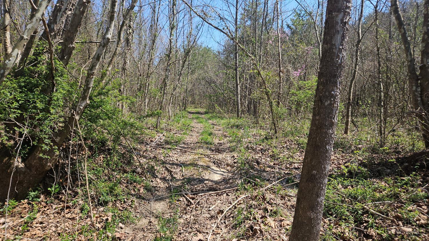 Spruce Hollow Road, Madison Twp, OH, 45653 — photo 7