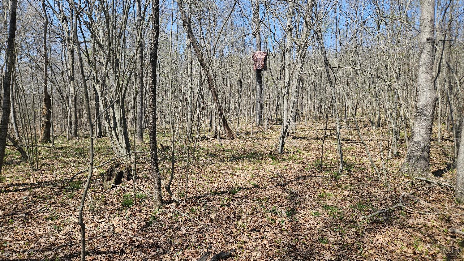 Spruce Hollow Road, Madison Twp, OH, 45653 — photo 22