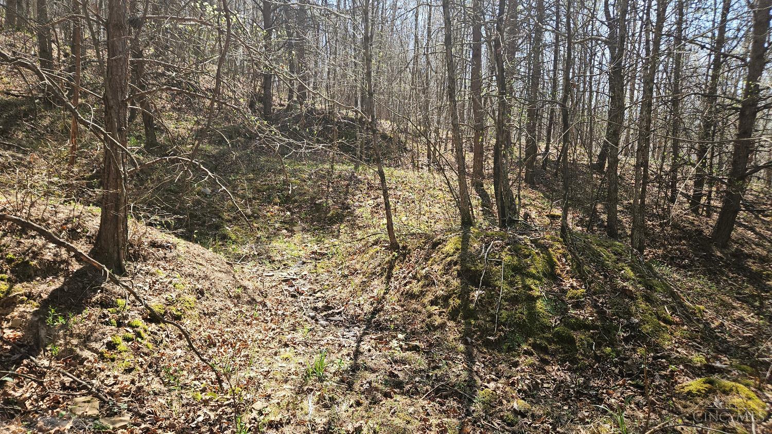 Spruce Hollow Road, Madison Twp, OH, 45653 — photo 43