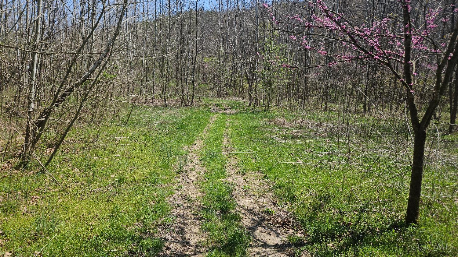 Spruce Hollow Road, Madison Twp, OH, 45653 — photo 5