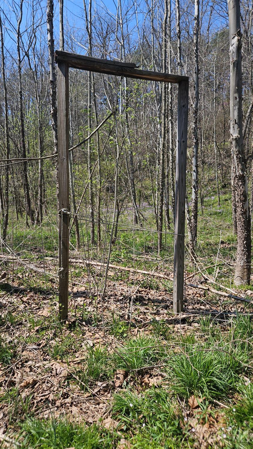 Spruce Hollow Road, Madison Twp, OH, 45653 — photo 3