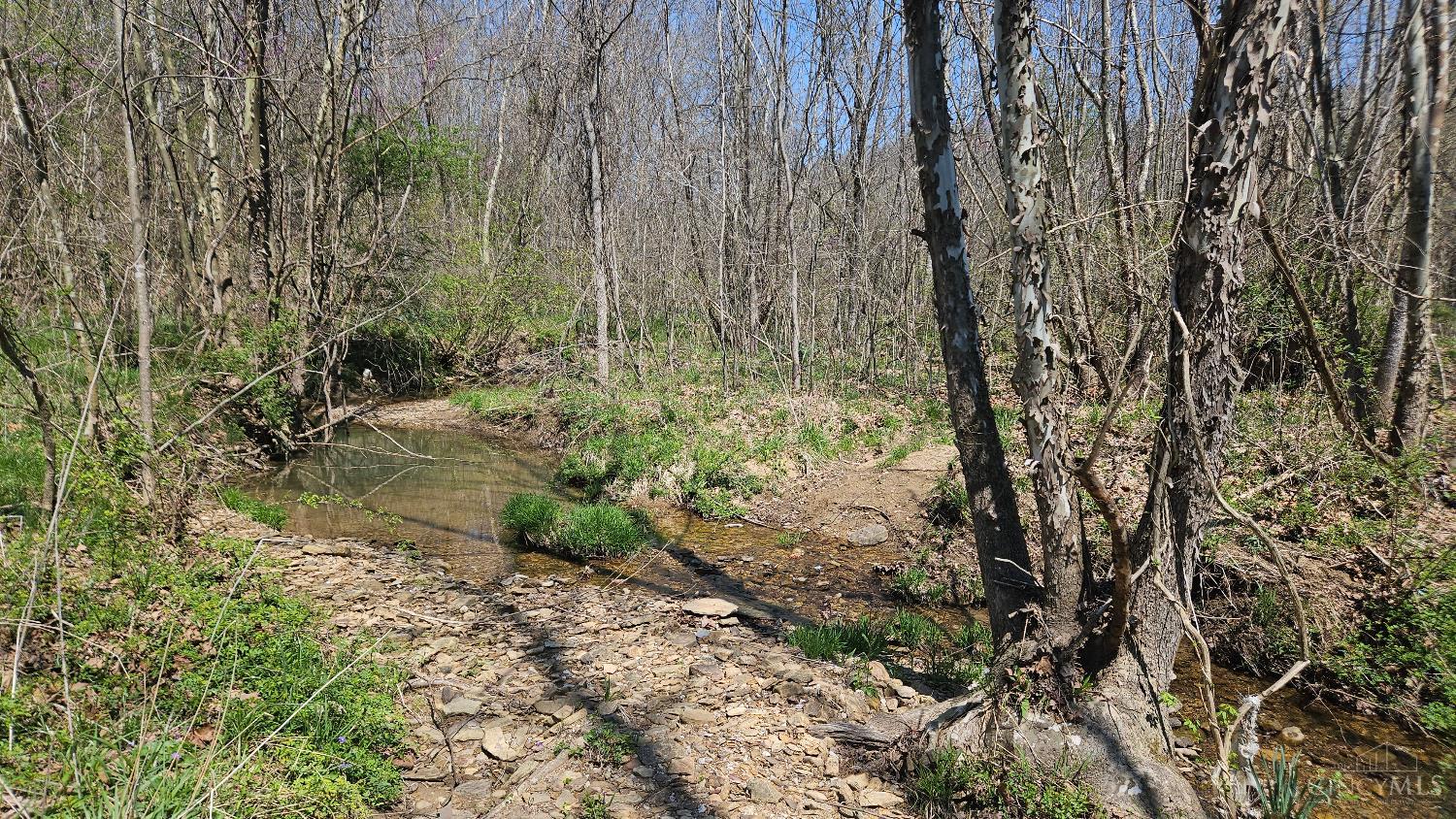 Spruce Hollow Road, Madison Twp, OH, 45653 — photo 6