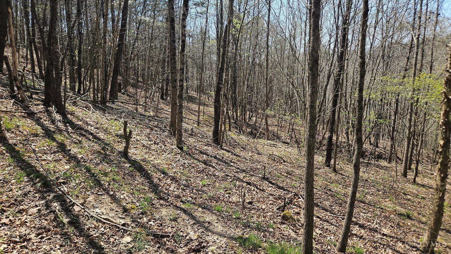 Spruce Hollow Road, Madison Twp, OH, 45653 — photo 40