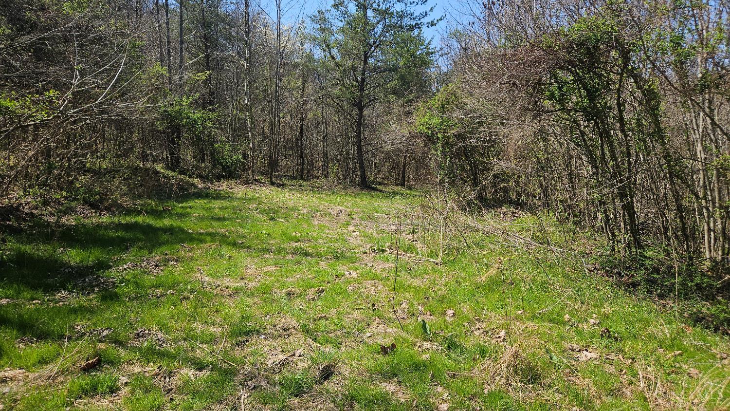 Spruce Hollow Road, Madison Twp, OH, 45653 — photo 11