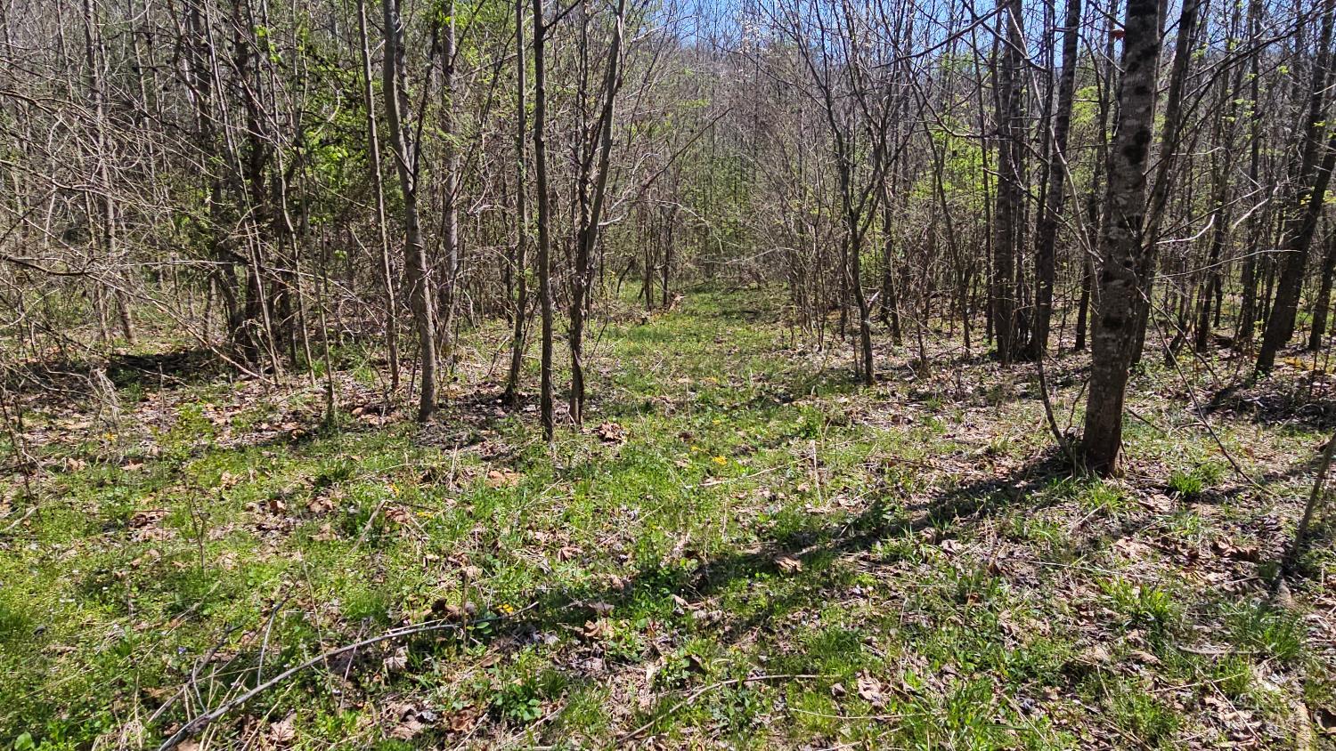 Spruce Hollow Road, Madison Twp, OH, 45653 — photo 54